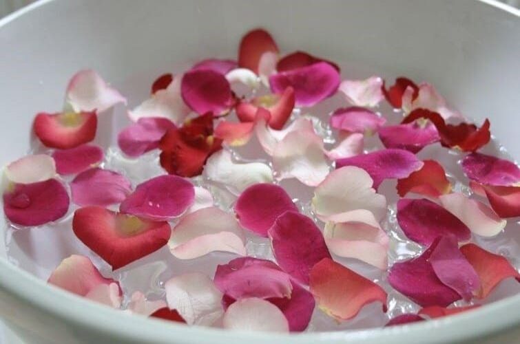 cach hoa hong e1734762981116