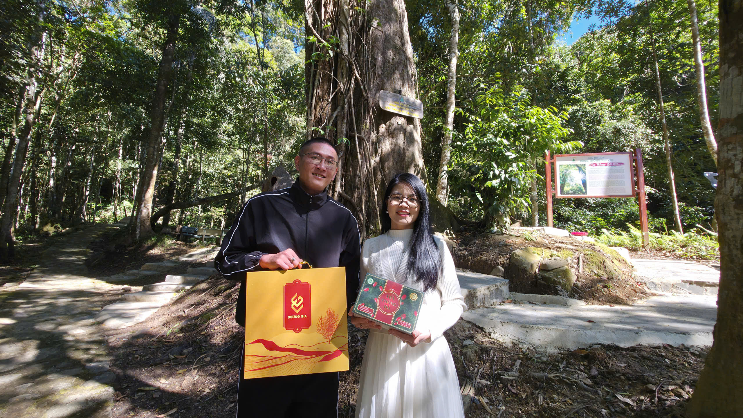 Cay thong 2500 nam 2